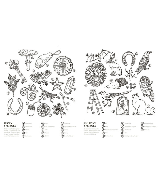 Into the Coven: A Spellbinding Colouring Book for the Modern Witch