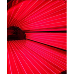 Red Light Membership with 24/7 Access