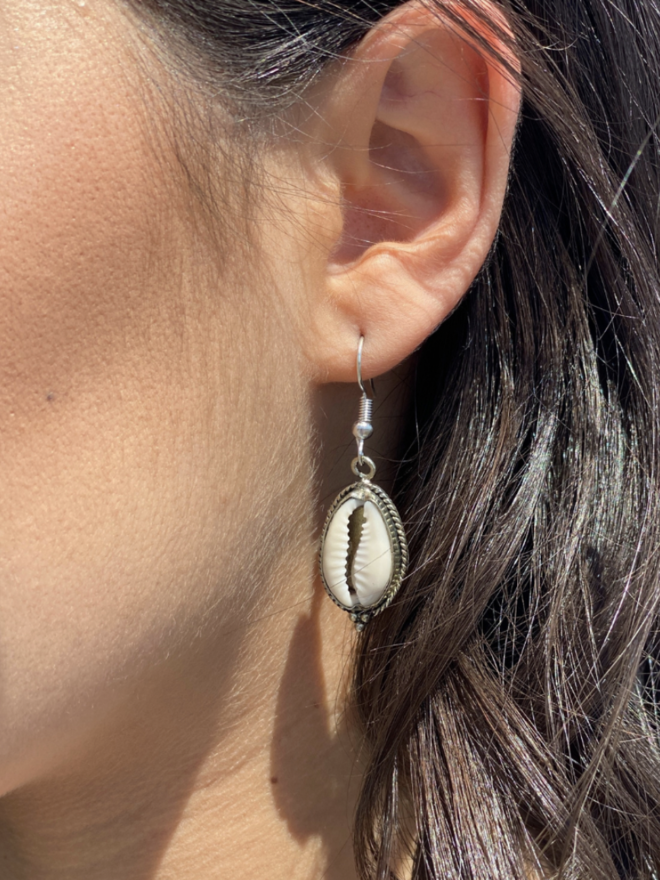 Cowrie Shell Earrings – Rare and Beautiful