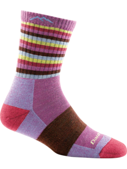 Darn Tough Bas Stripes Micro Crew Cushion pour femmes