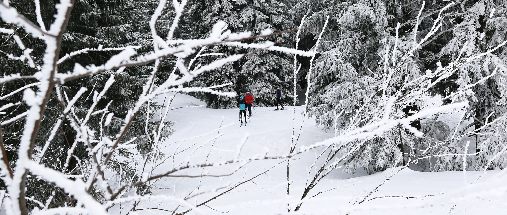 Rossignol Fixations de ski de fond Tour step-in