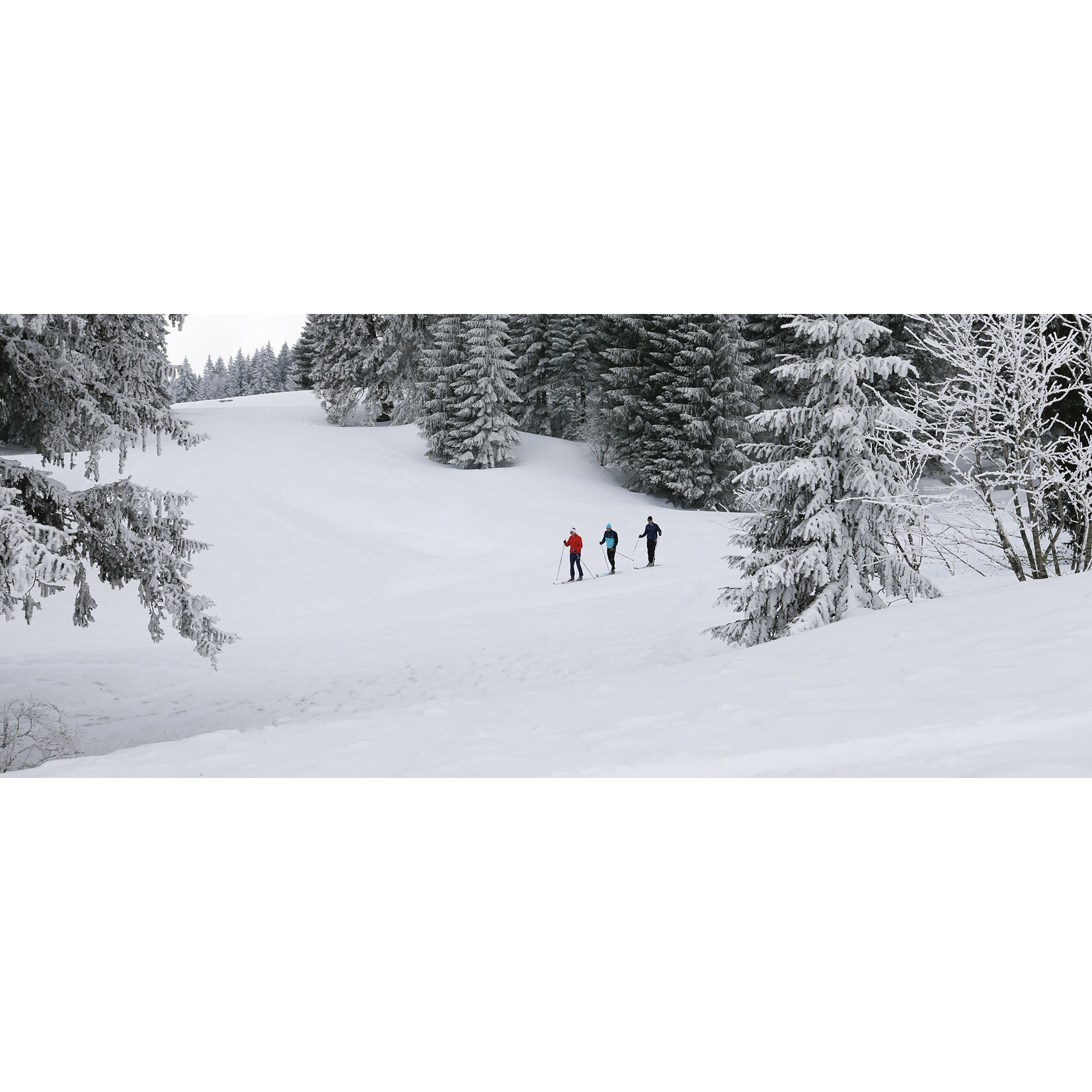Rossignol BC Magnum (Fixations de ski hors-piste)