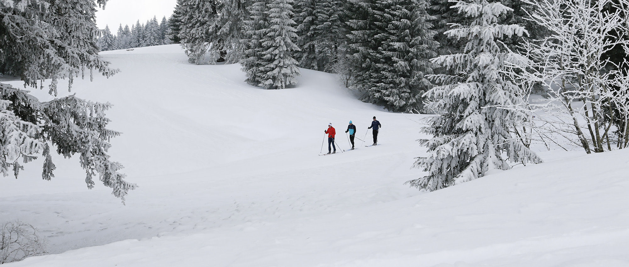 Rossignol Fixations de ski hors-piste BC Magnum