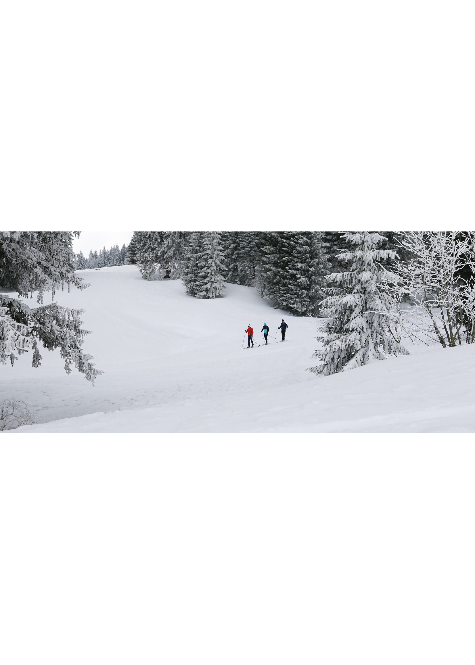 ROSSIGNOL BC Manual (Fixations de ski hors-piste)