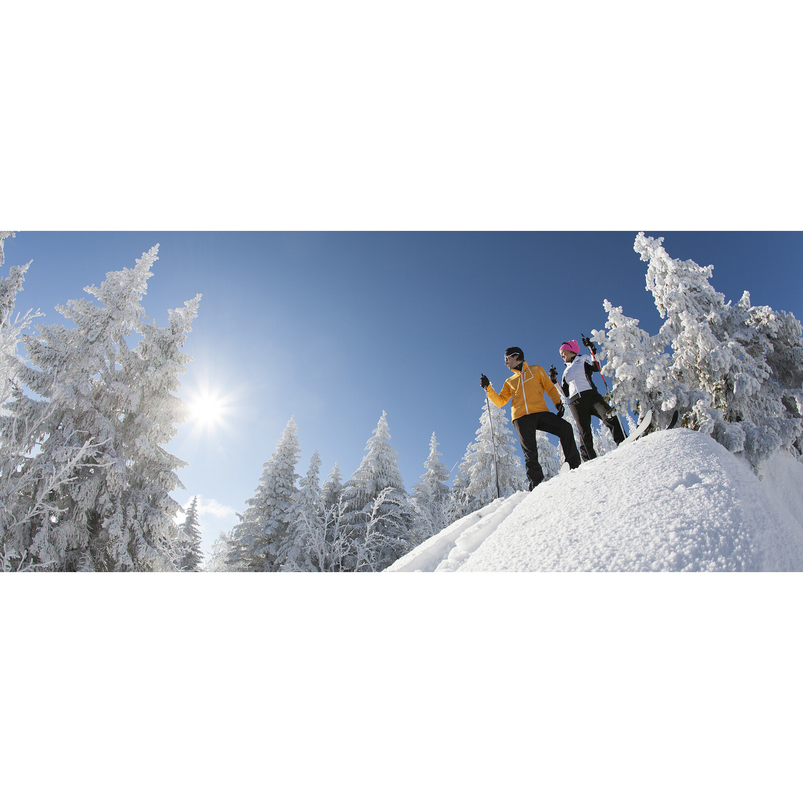 Rossignol BC Manual (Fixations de ski hors-piste)
