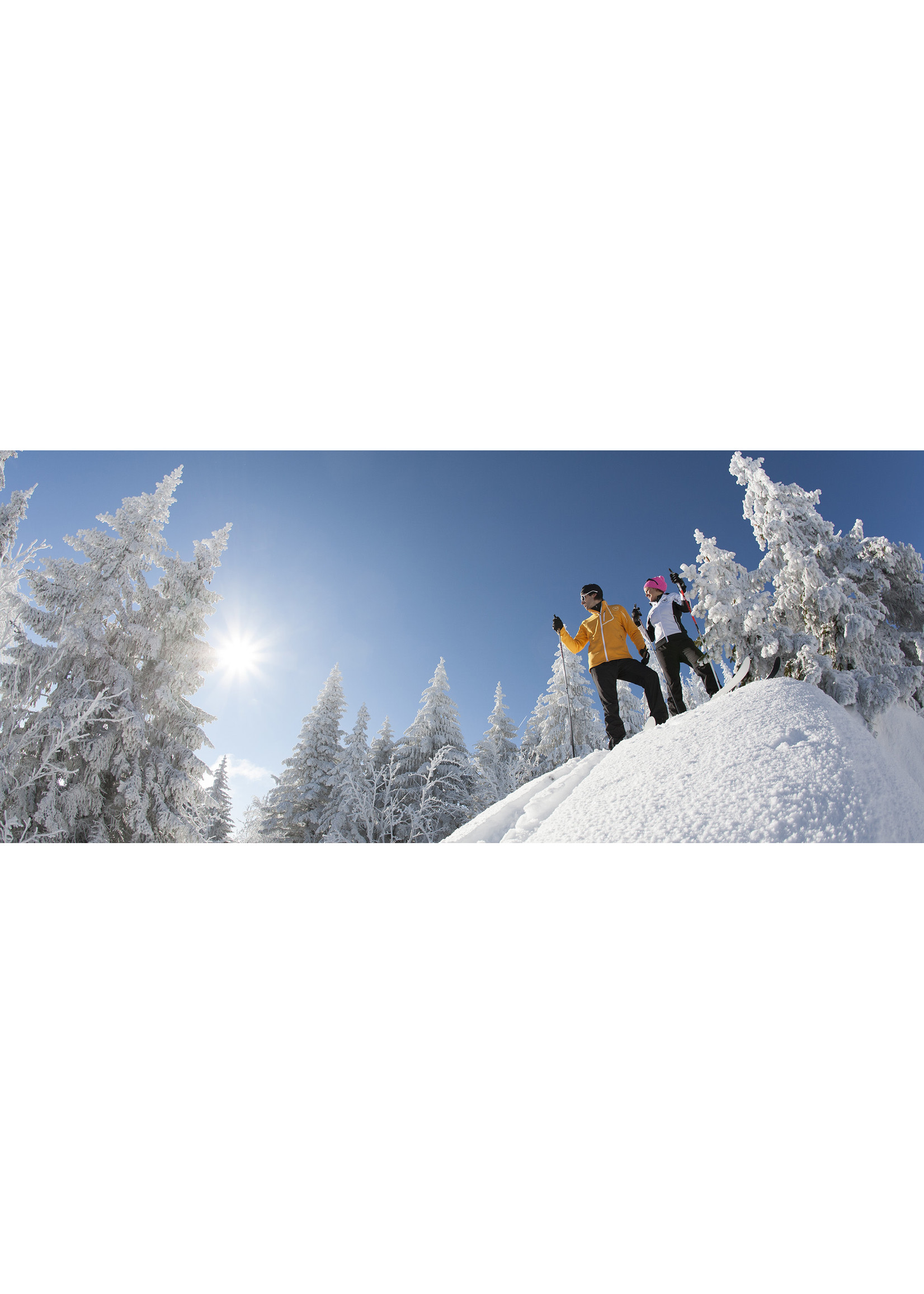 ROSSIGNOL BC Manual (Fixations de ski hors-piste)