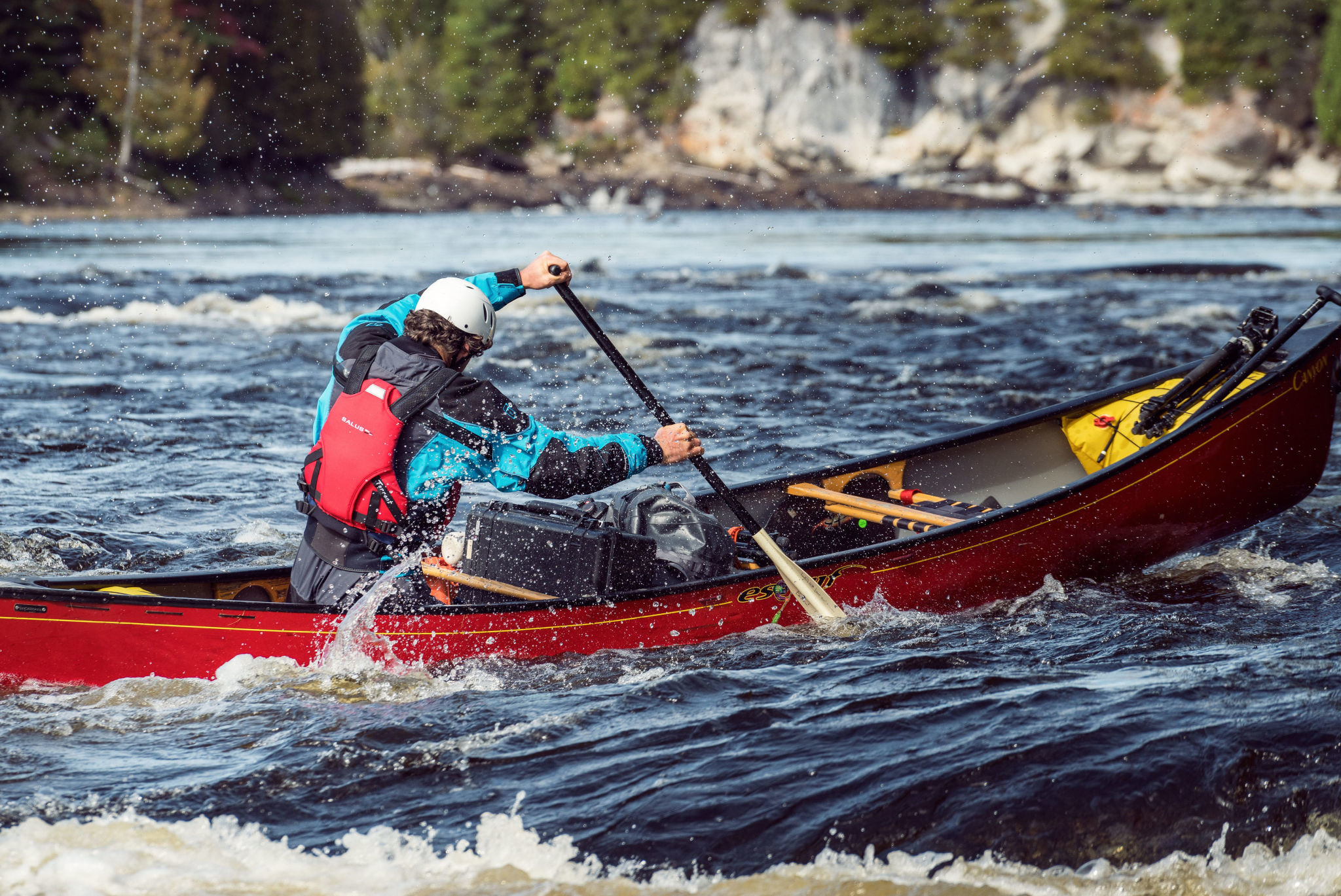 Salus Veste de flottaison Torrent