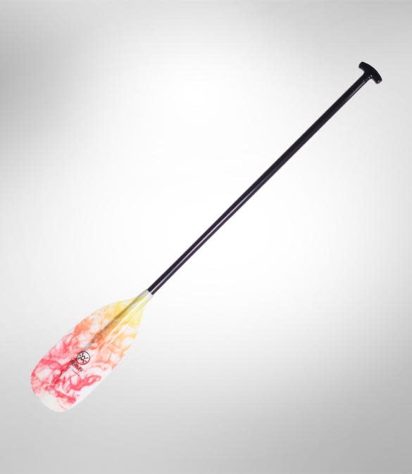 Werner Pagaie Guide Stick en fibre de verre