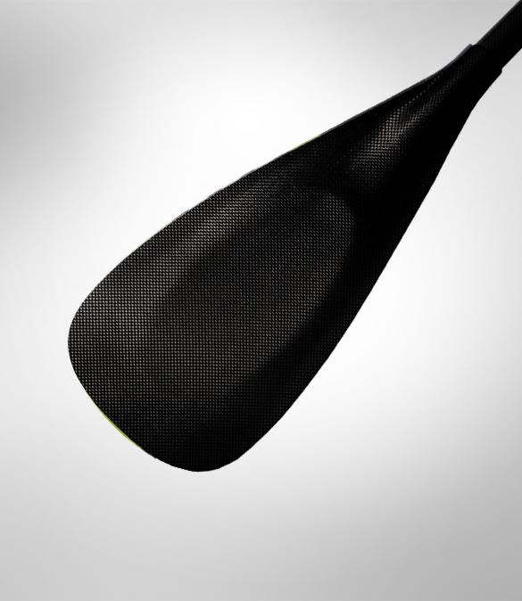 Werner Pagaie Apex 91 en carbone