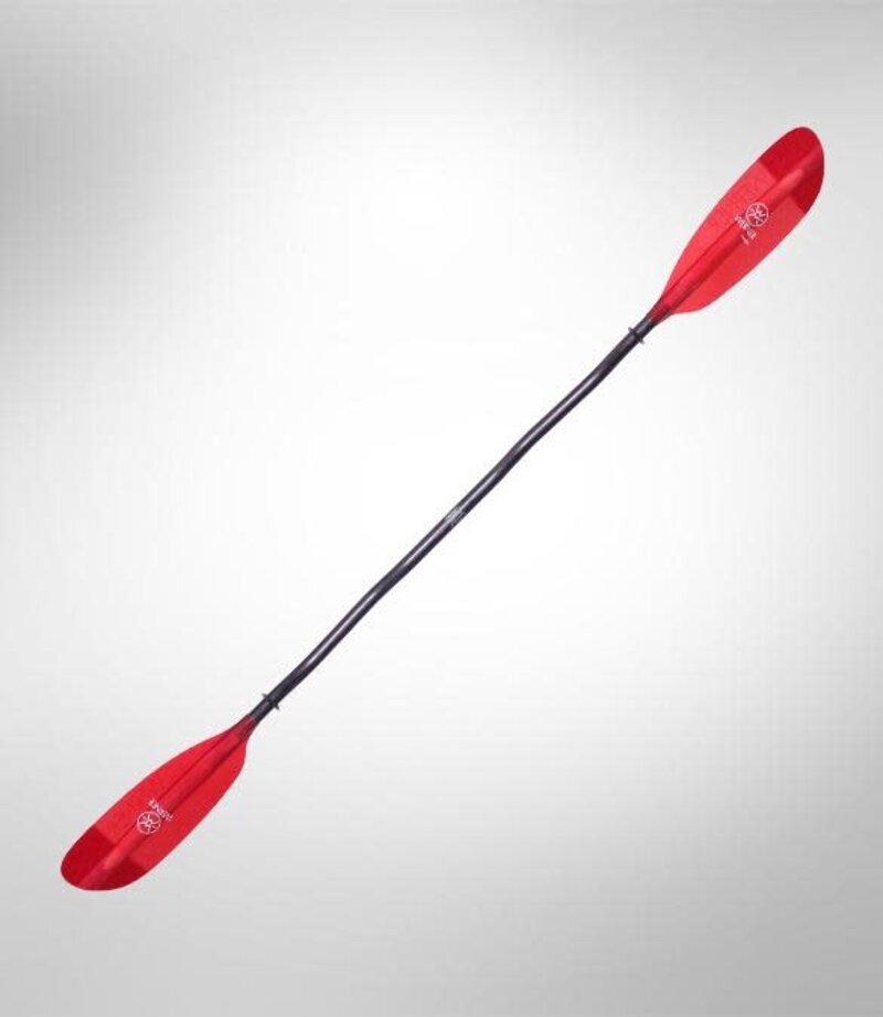 Werner Pagaie Camano ergonomique en fibre de verre