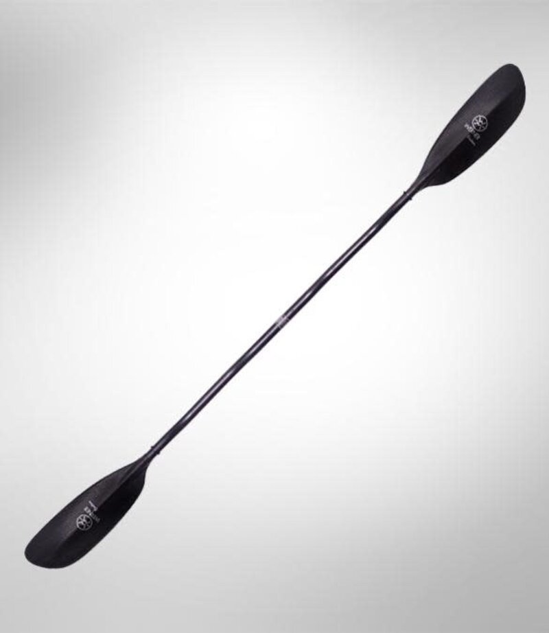 Werner Pagaie Ovation ergonomique en carbone