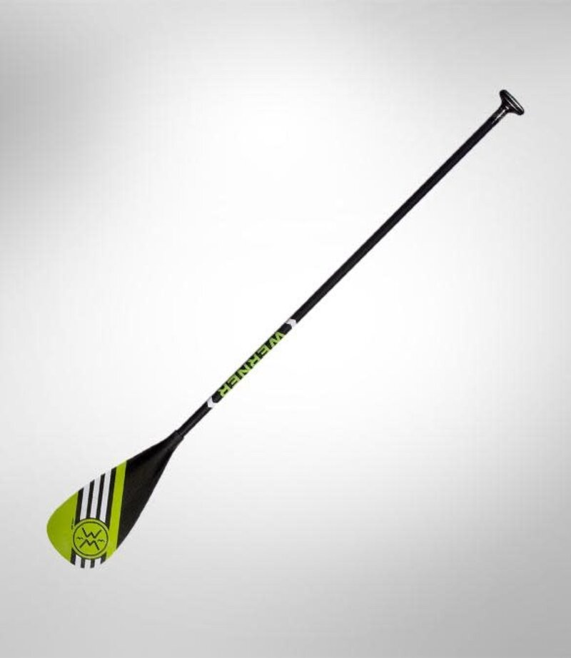 Werner Pagaie Apex 91 en carbone
