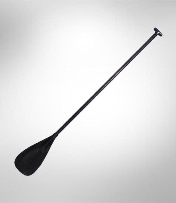 Werner Pagaie Apex 91 en carbone