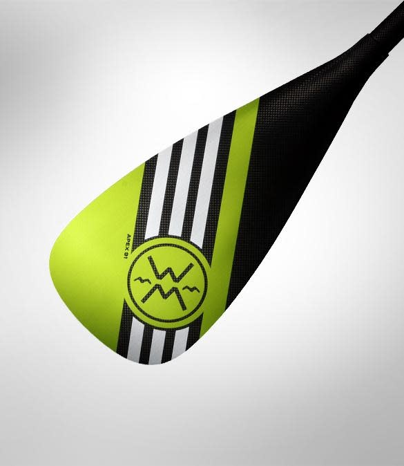 Werner Pagaie Apex 91 en carbone