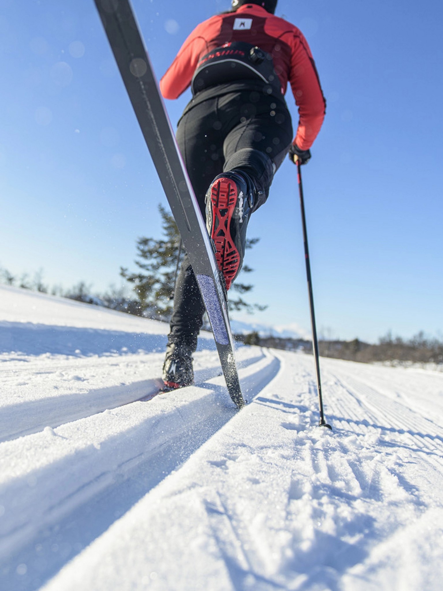 Madshus Skis de fond Endurace Skin