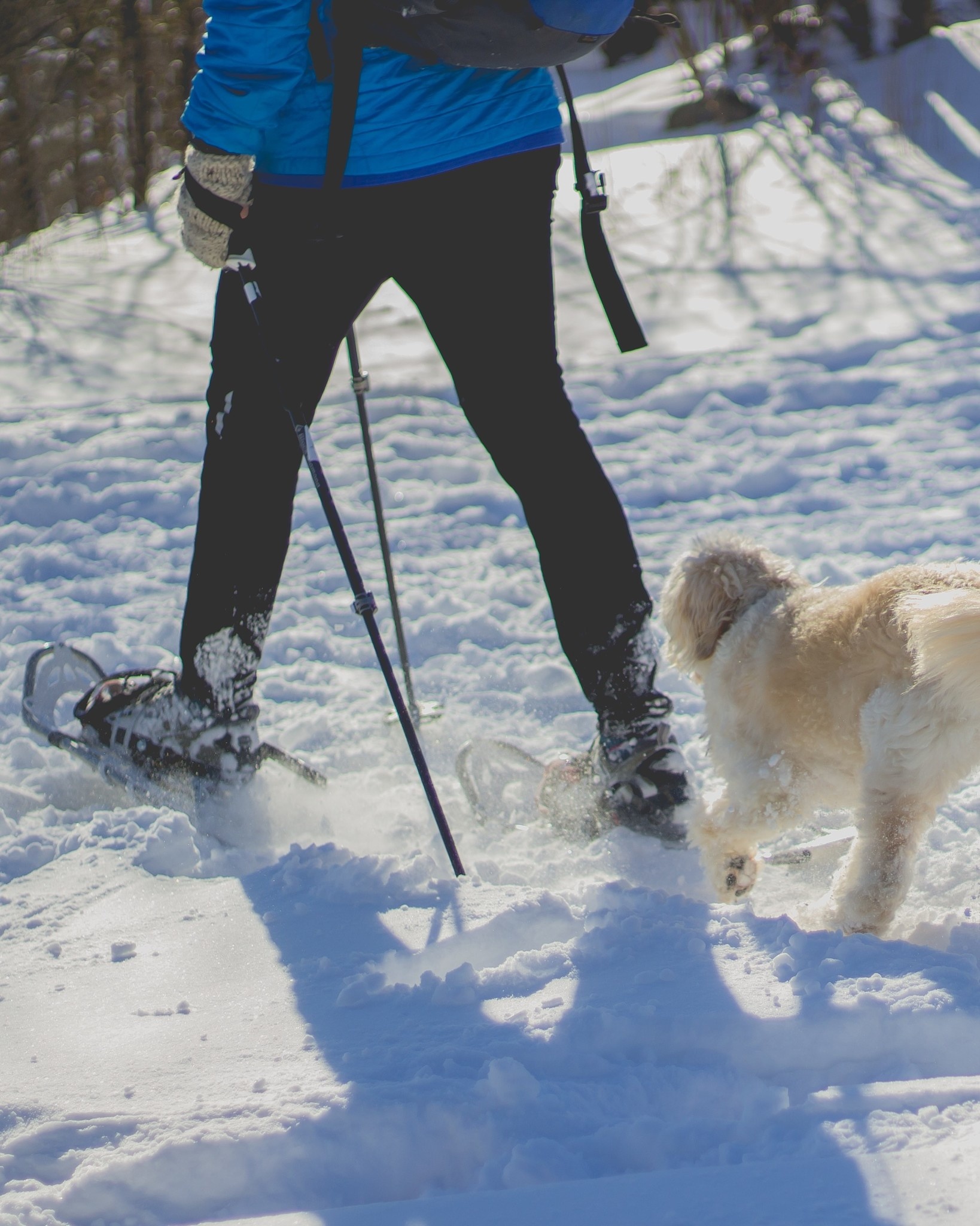 Maïkan Location de raquettes à neige