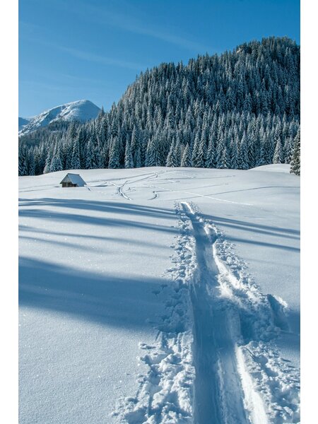 Maïkan Location d'un ensemble de ski de longue randonnée