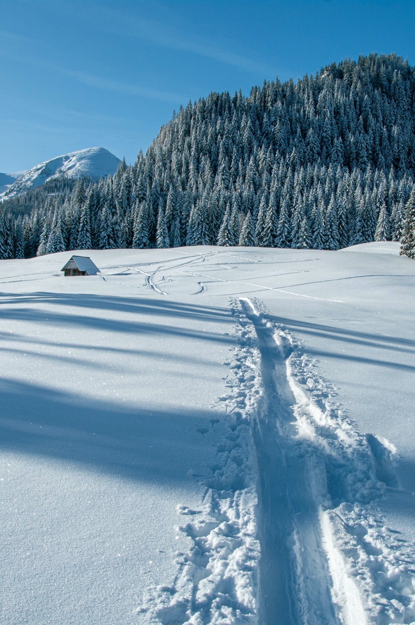 Maïkan Location d'un ensemble de ski de longue randonnée