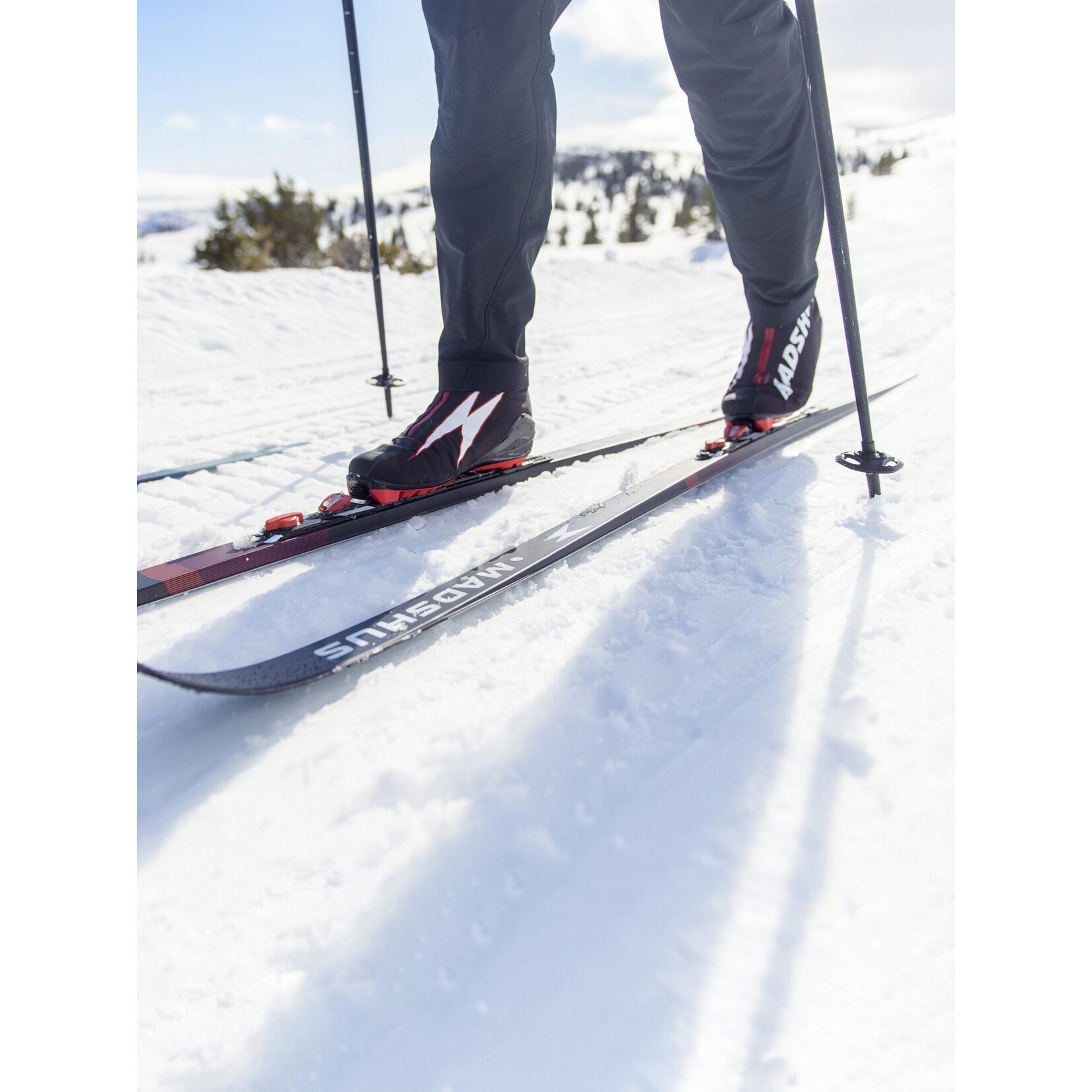 Madshus Skis back-country Fjelltech M50 Skin