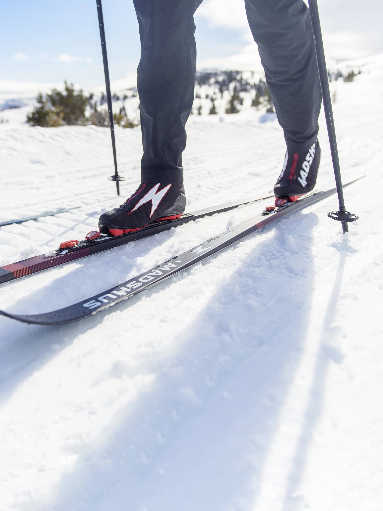Madshus Skis back-country Fjelltech M50 Skin