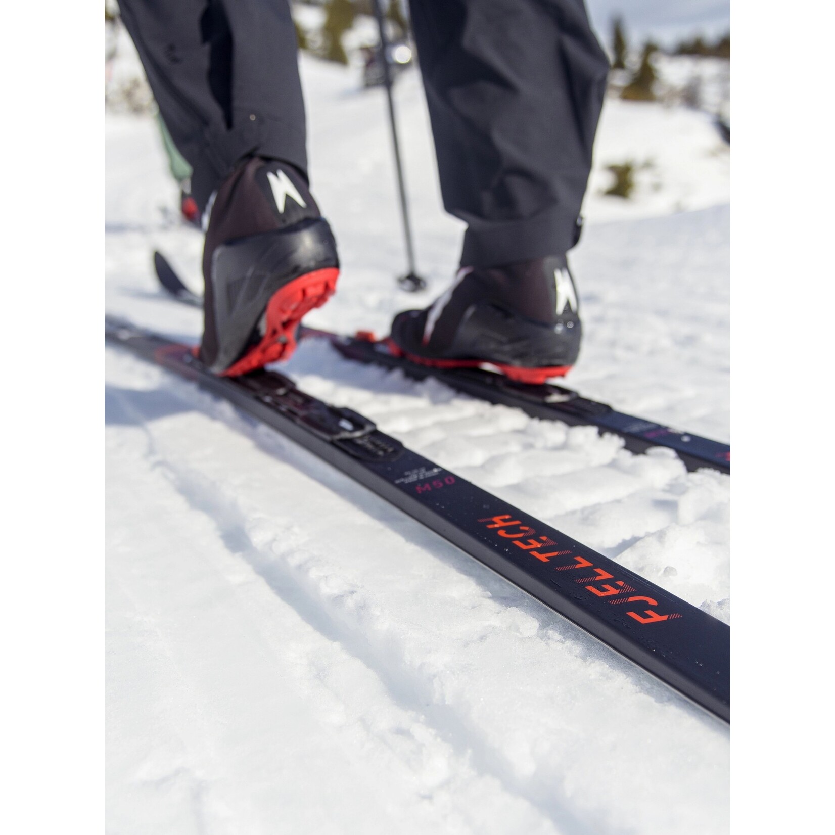 Madshus Skis back-country Fjelltech M50 Skin