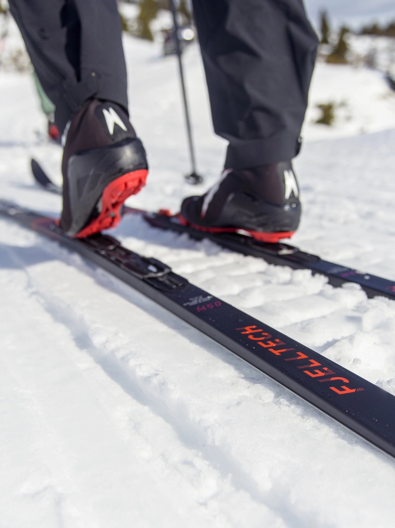 Madshus Skis back-country Fjelltech M50 Skin