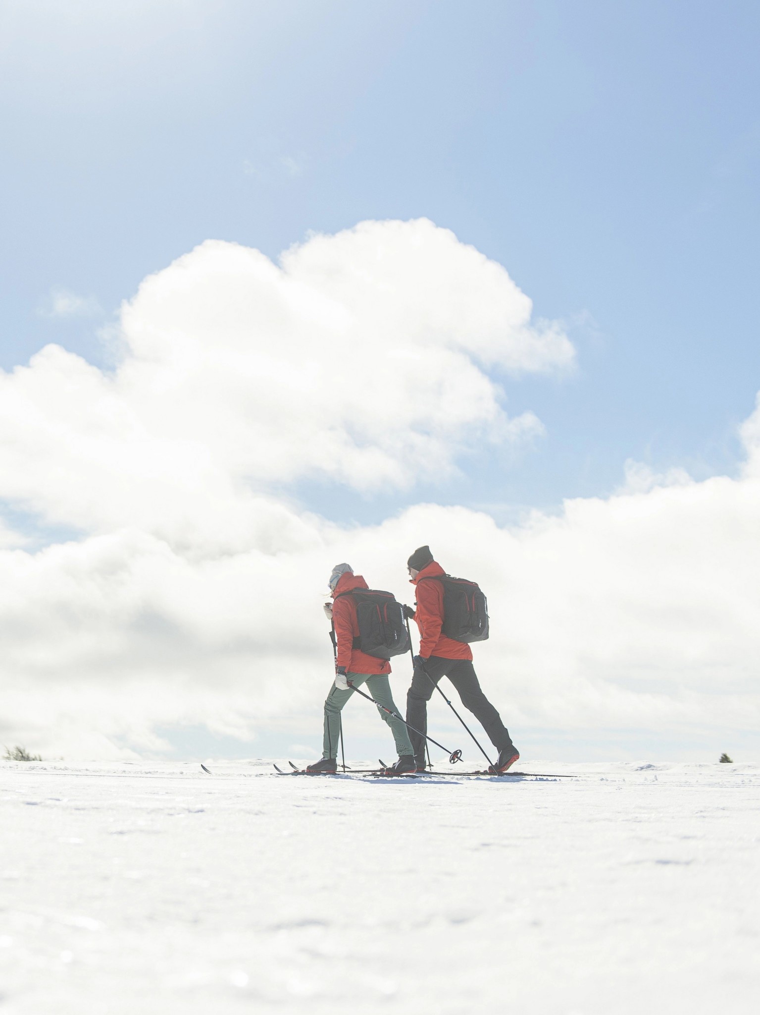 Madshus Skis back-country Fjelltech M44 Skin