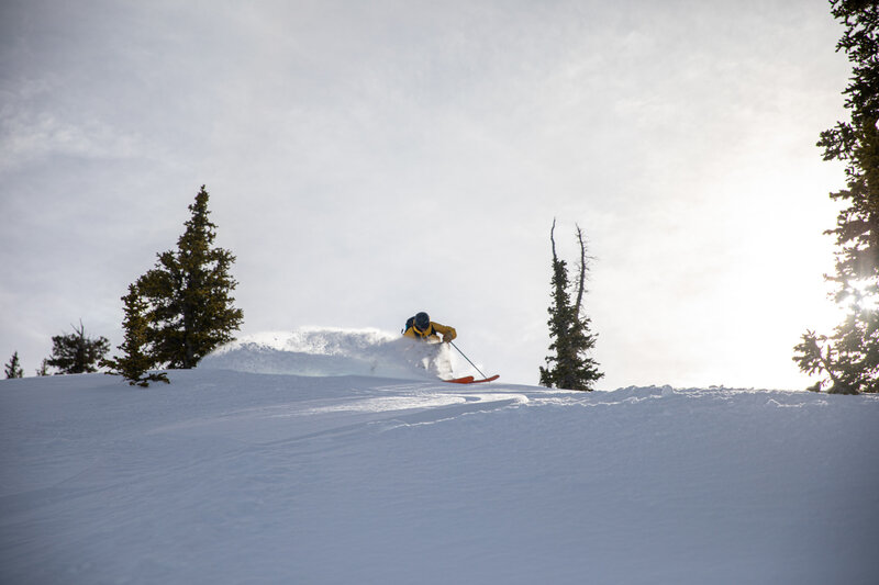 Icelantic Skis hors-piste Maiden Lite