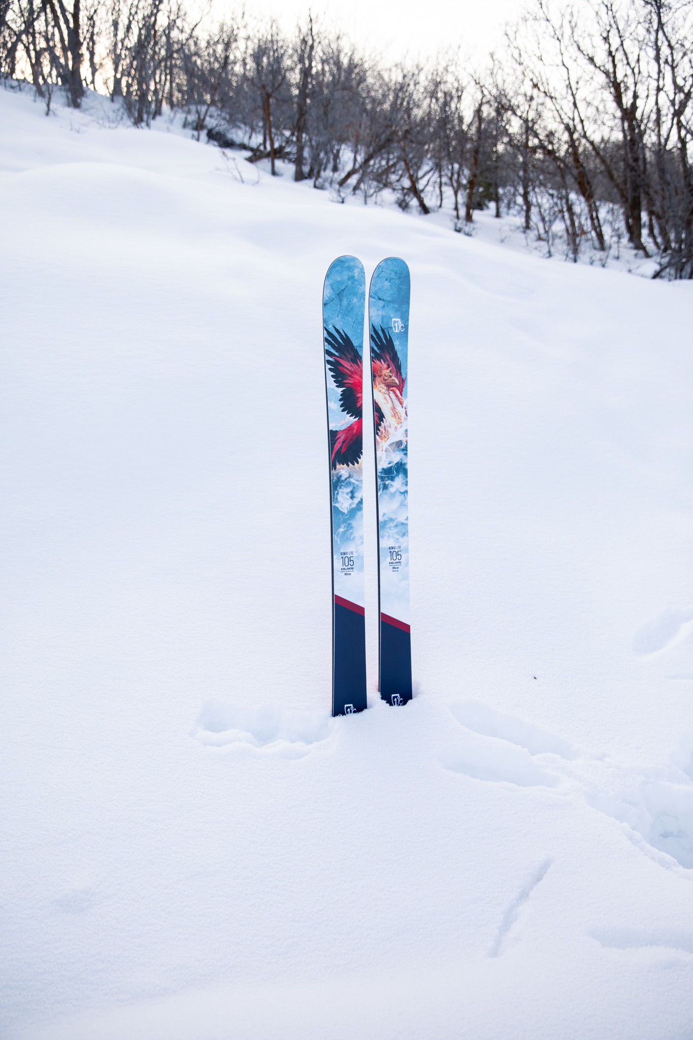 Icelantic Skis hors-piste Nomad Lite