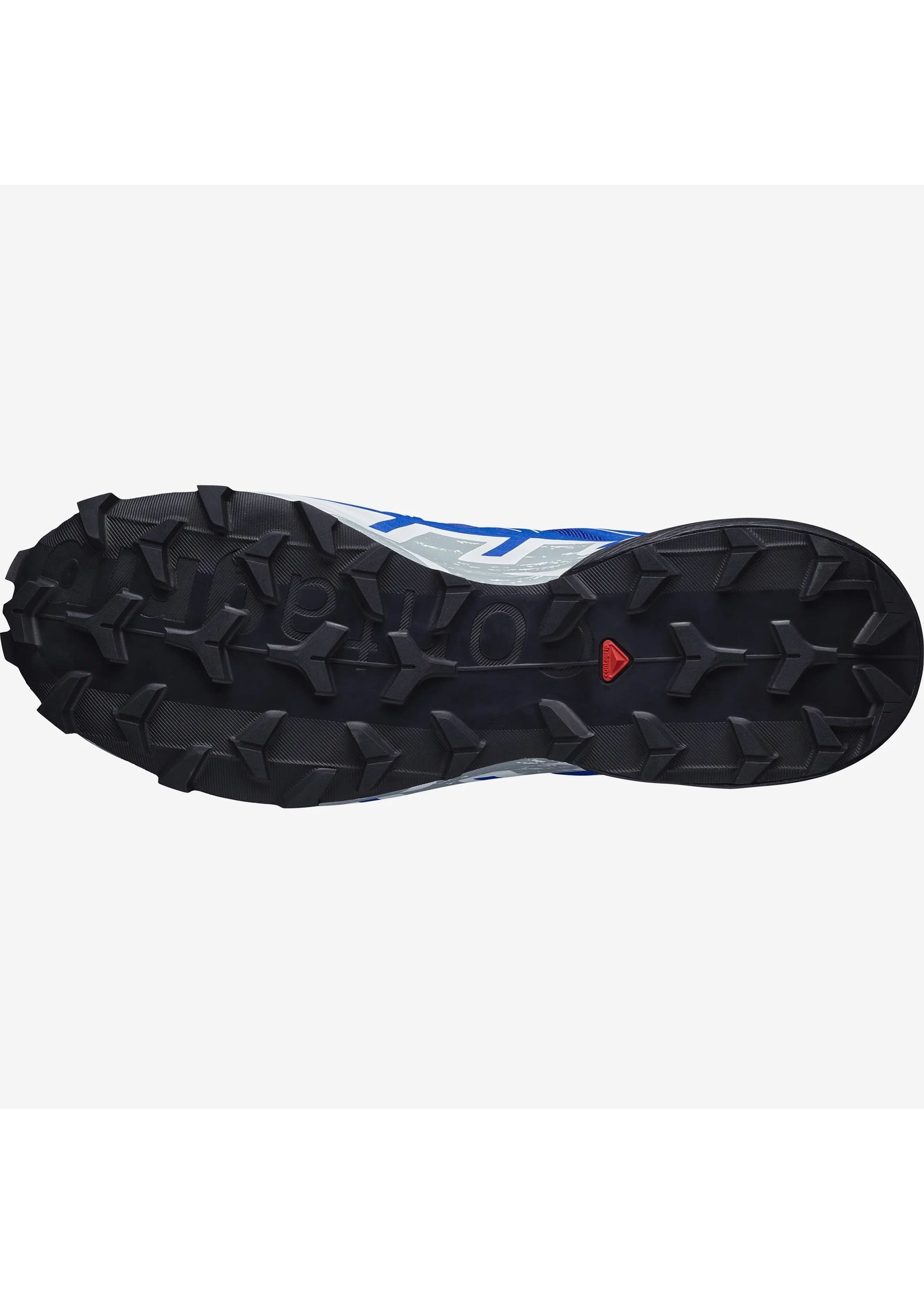 SALOMON Speedcross 6 GTX (souliers de course pour homme)