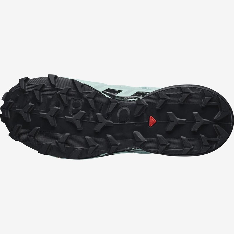 Salomon Souliers de course Speedcross 6 GTX W pour femme