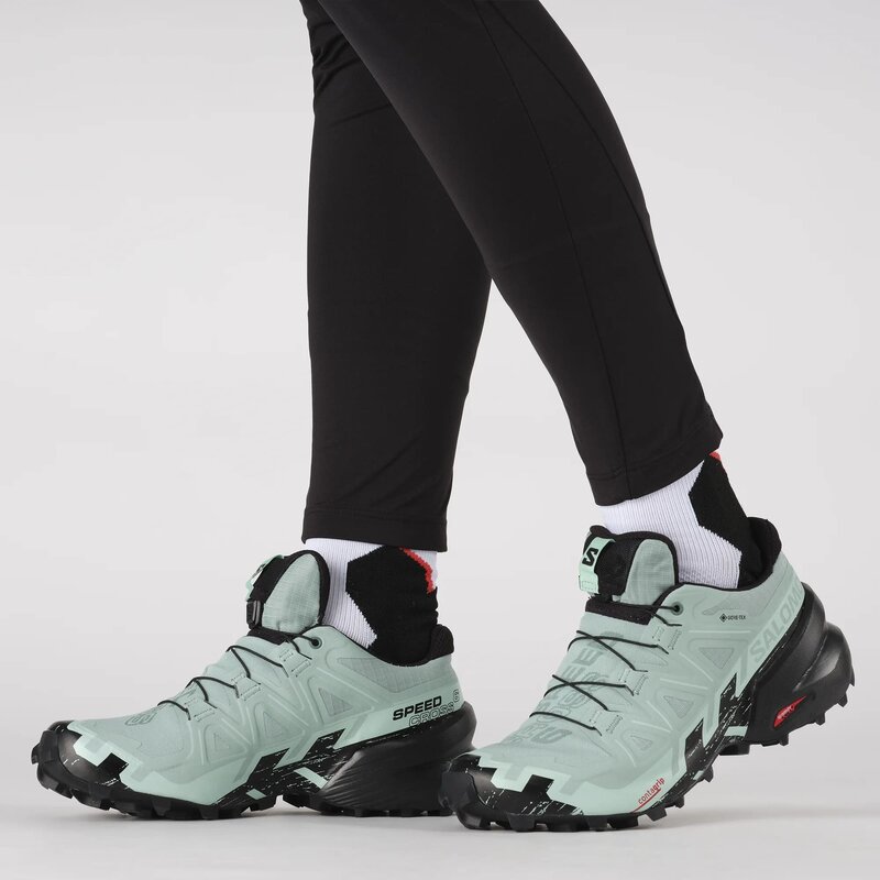 Salomon Souliers de course Speedcross 6 GTX W pour femme