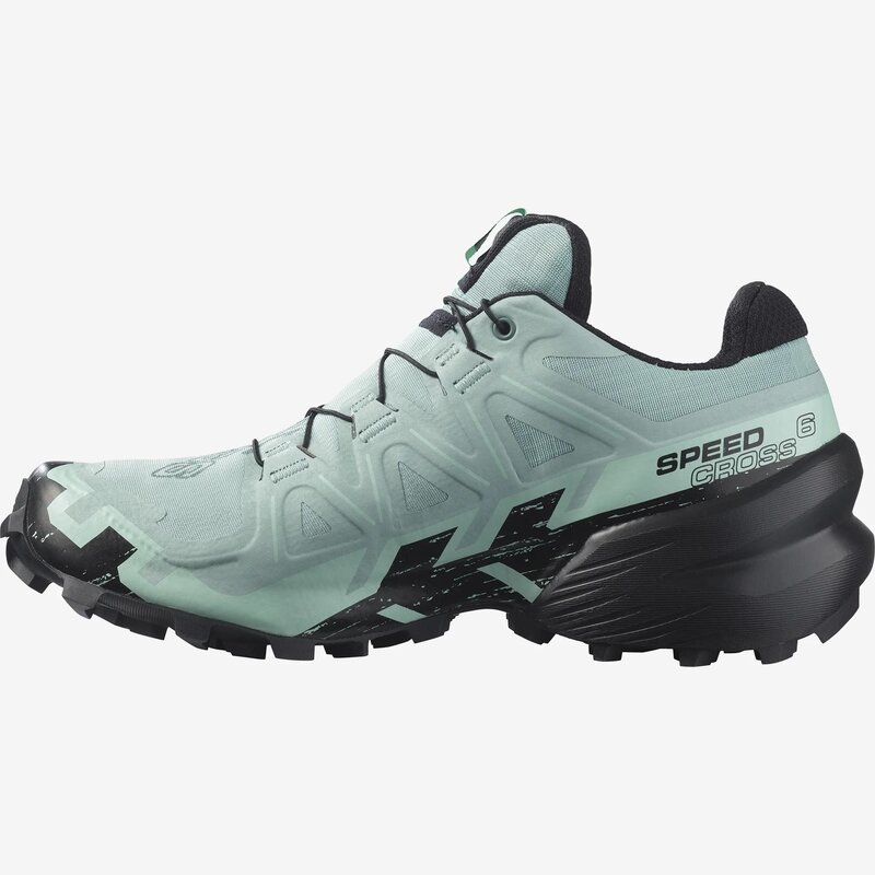 Salomon Souliers de course Speedcross 6 GTX W pour femme