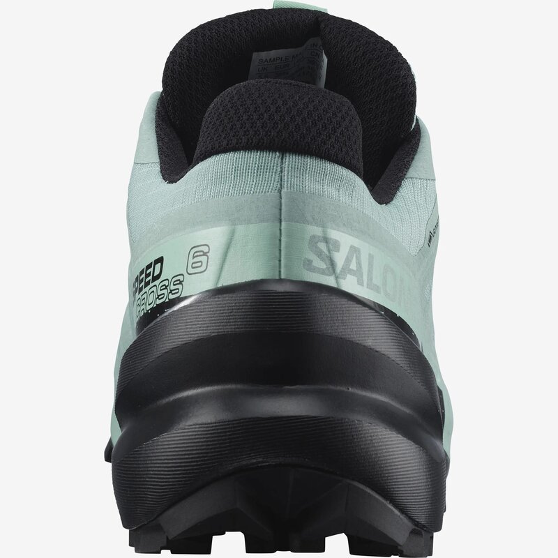 Salomon Souliers de course Speedcross 6 GTX W pour femme