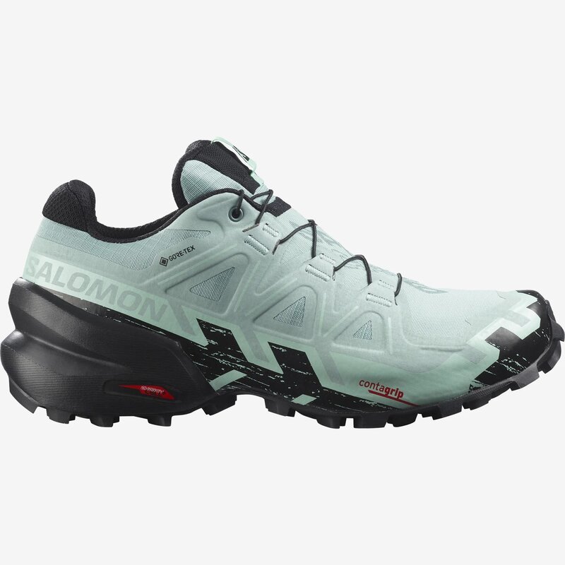 Salomon Souliers de course Speedcross 6 GTX W pour femme