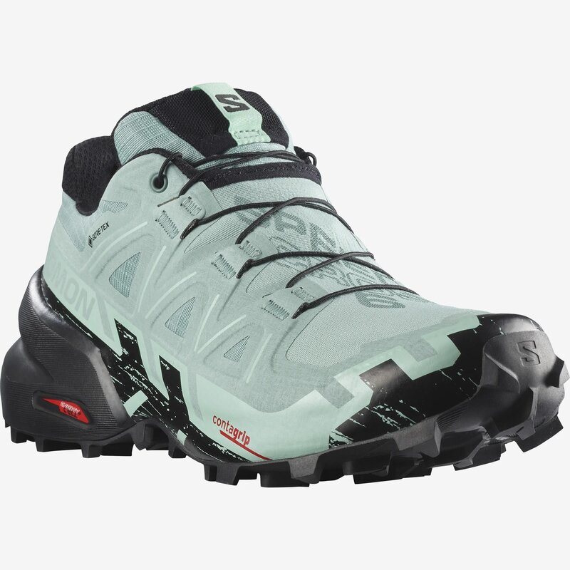 Salomon Souliers de course Speedcross 6 GTX W pour femme