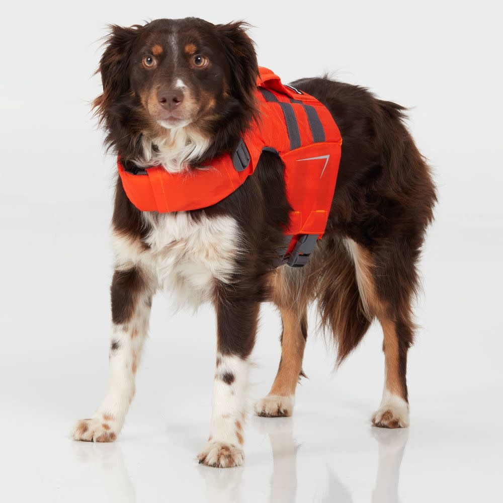 NRS Veste de sauvetage CFD Dog Life Jacket pour chien