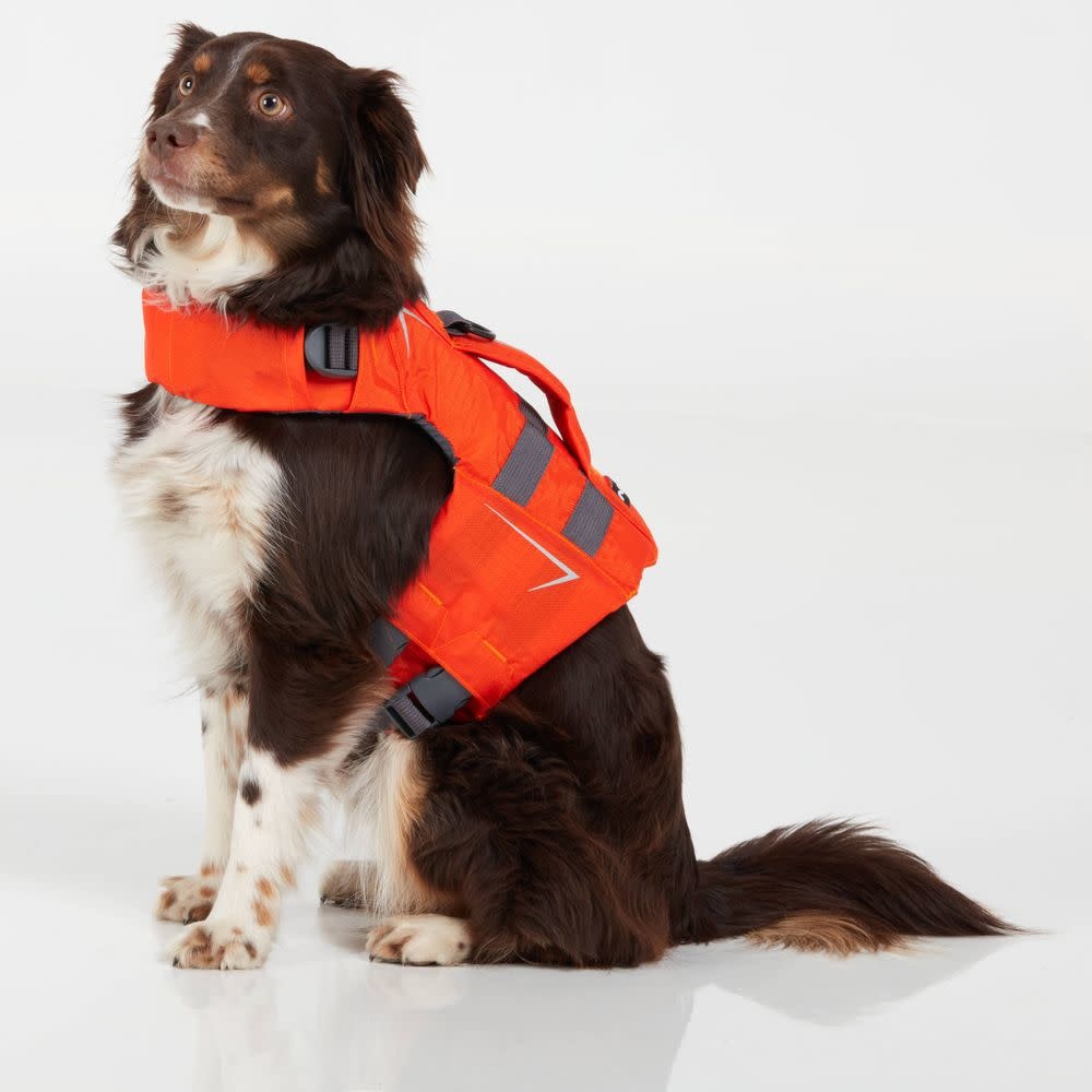 NRS Veste de sauvetage CFD Dog Life Jacket pour chien