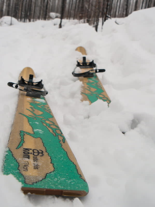 Altai Skis de fond hors-piste Ski köm