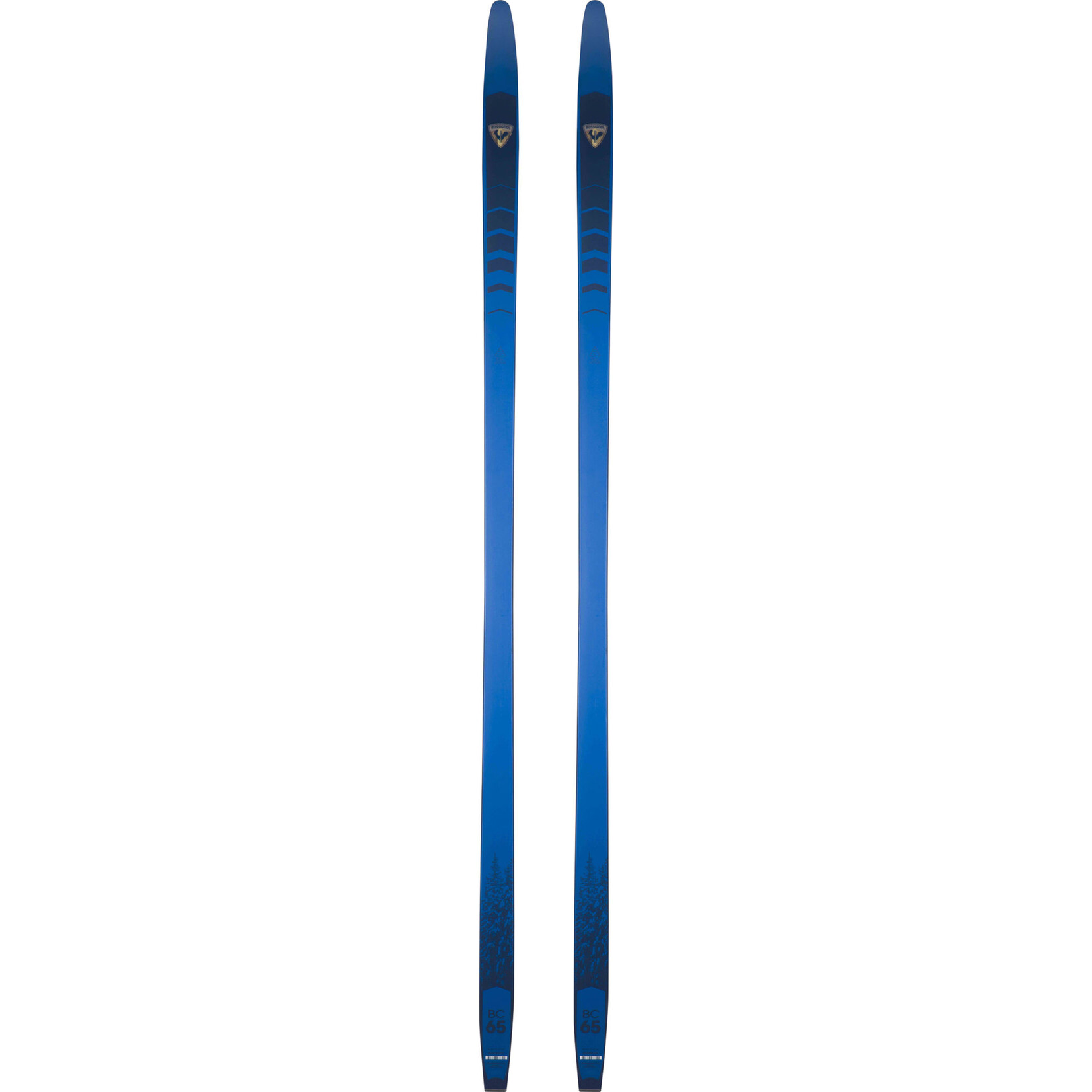 Rossignol BC 65 Positrack (Skis de fond hors-piste)