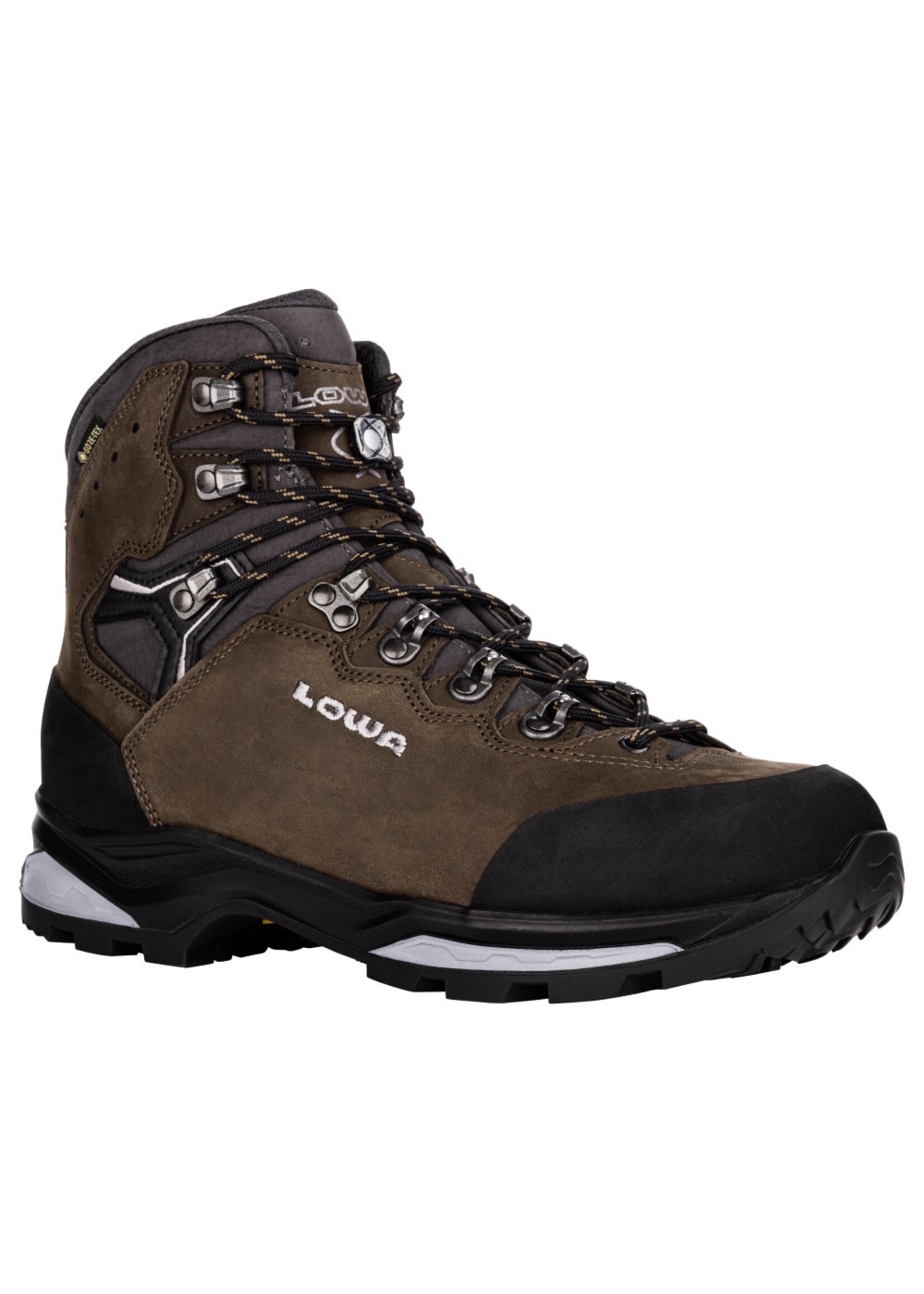 Lowa Camino Evo GTX (bottes pour homme)