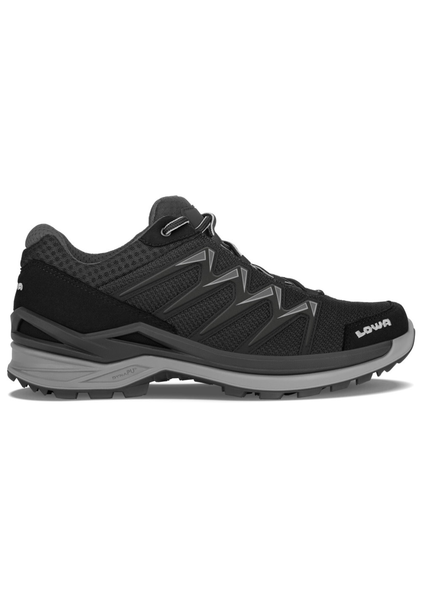 Lowa Innox Pro GTX Lo (souliers pour homme)