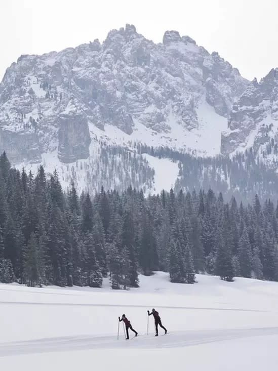 Madshus Skis de fond Endurace Skin