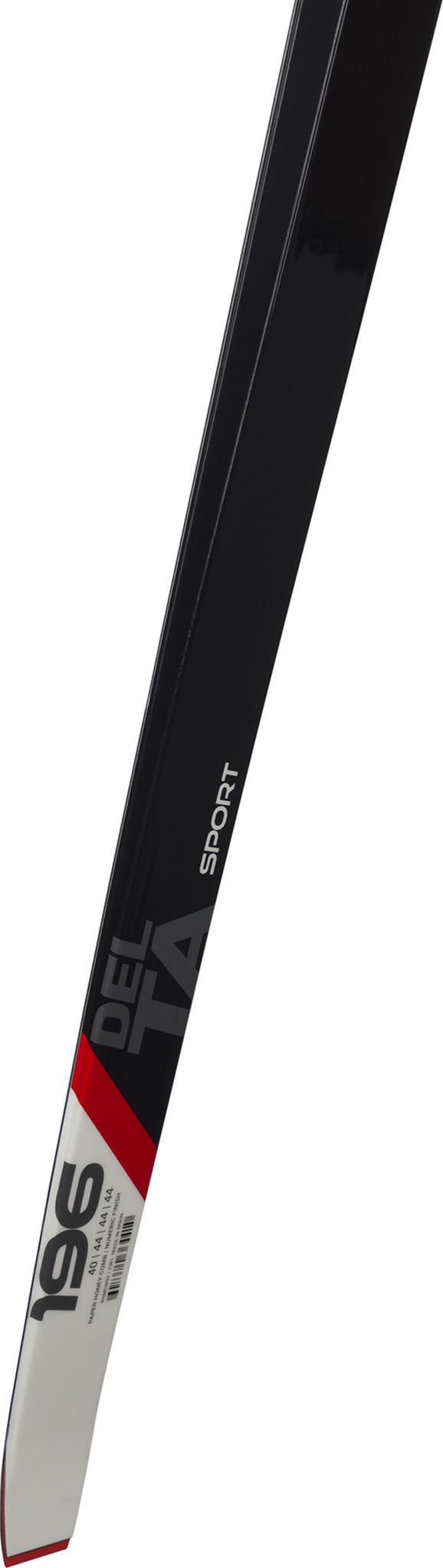 Rossignol Skis de fond Delta Sport R-Skin