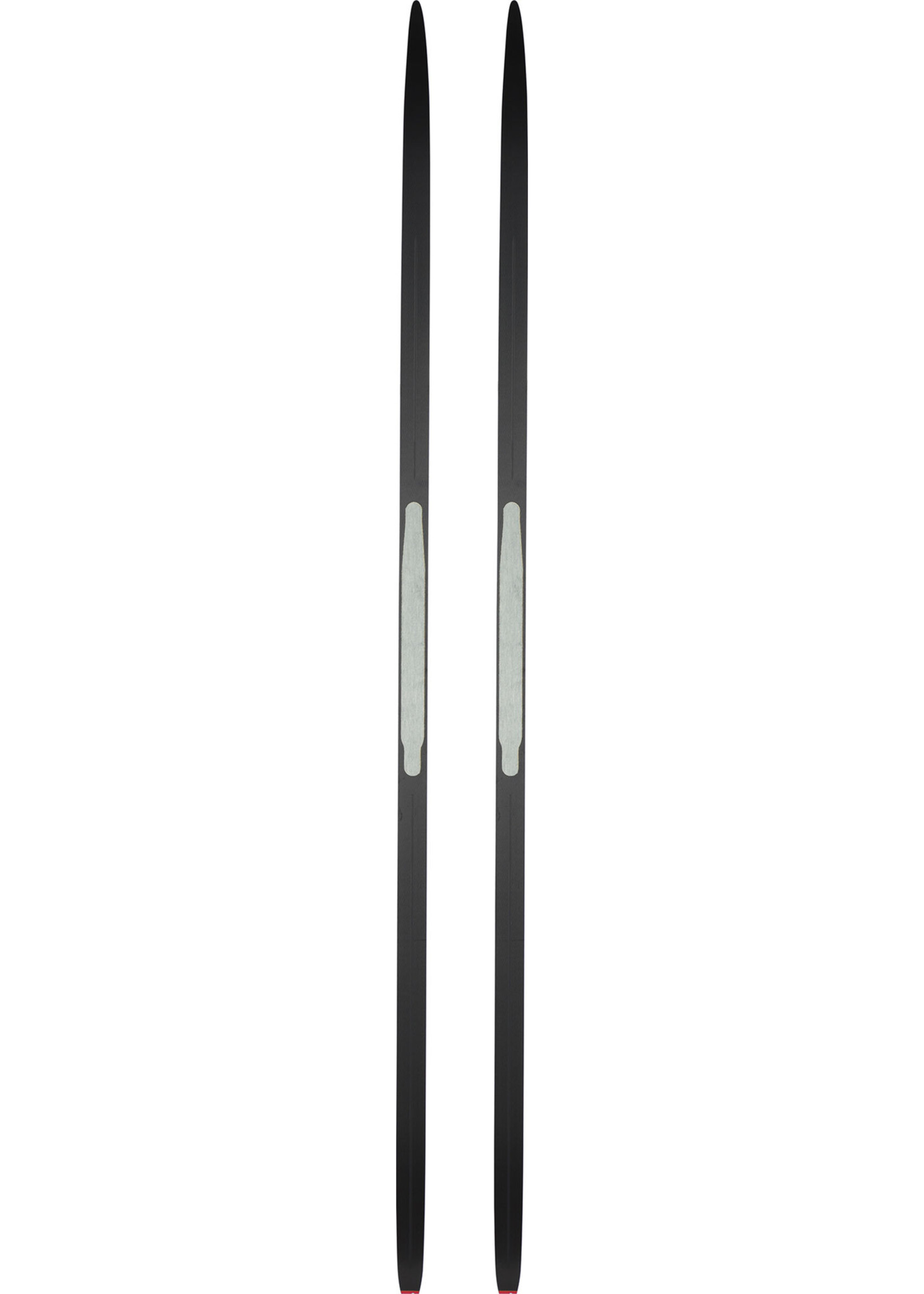 Rossignol Delta Sport R-Skin (skis de fond classiques)