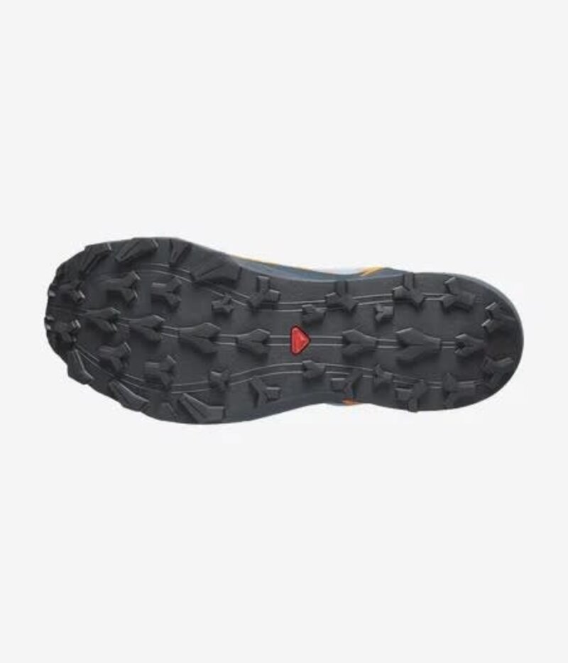 Salomon Souliers de cours Thundercross GTX pour homme