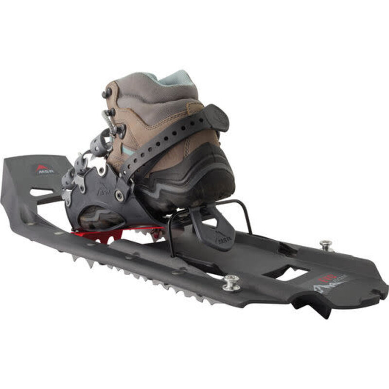 MSR Raquettes Evo Ascent 22 pouces Gris pierre