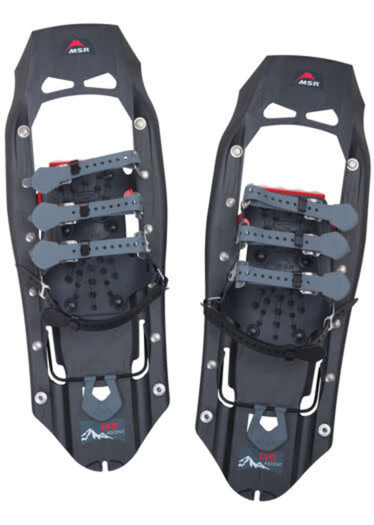 MSR Raquettes Evo Ascent 22 pouces Gris pierre