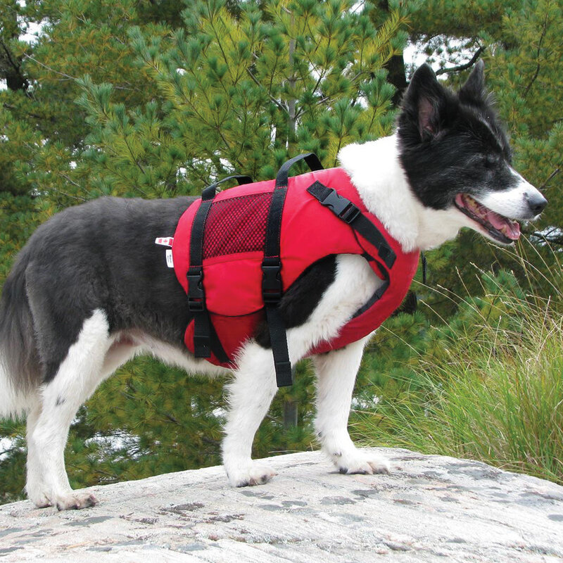 Salus Veste de sauvetage Skippy pour chien