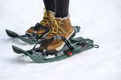 MSR Raquettes Evo Trail